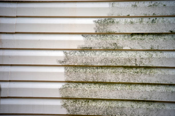 Best Moving and Downsizing Cleanouts  in Luther, OK